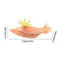 Simulated Marine Animal Model, Sea Rabbit/squid/green Spotted Squid Sea Marine Animal Model Bath Toys Tabletop Static Model Toy