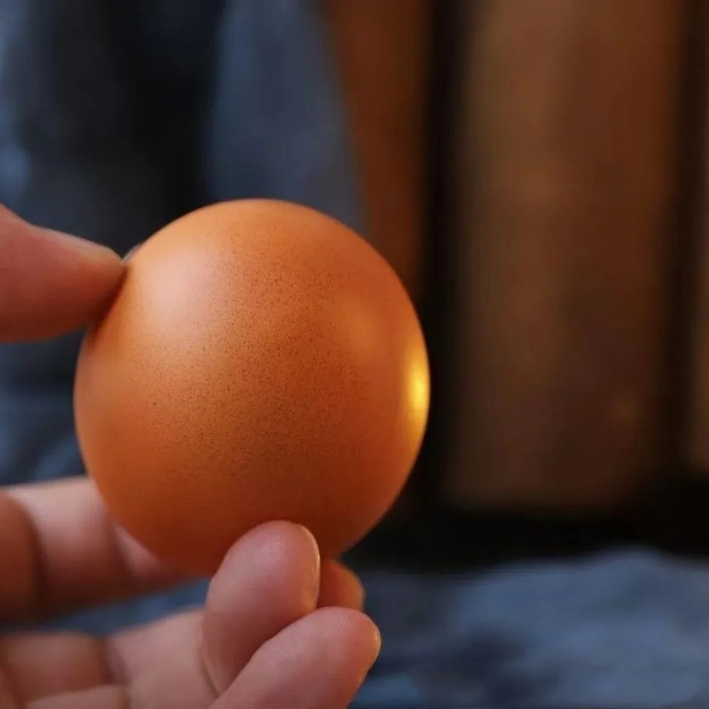 Fun Shibako Dog Egg Squishy Fidget Realistic Shape Shiba Inu Stress Relief PU Slow Rebound Desk Decor Gift